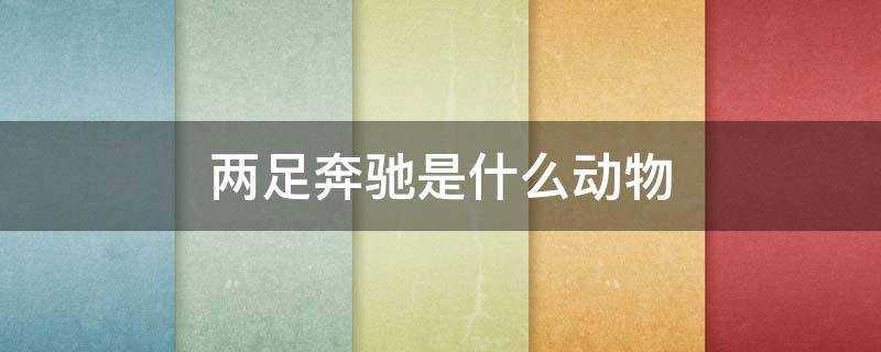 生活百科
